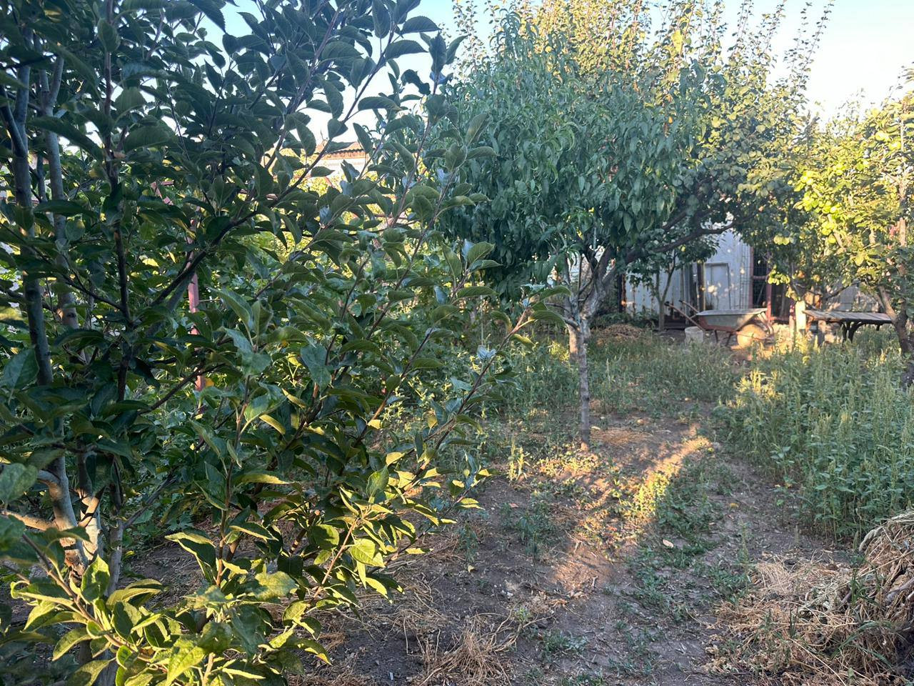 1-комн. дом, 66 м², Респ. Донецкая Народная, г. Мариуполь, ул. Просторная