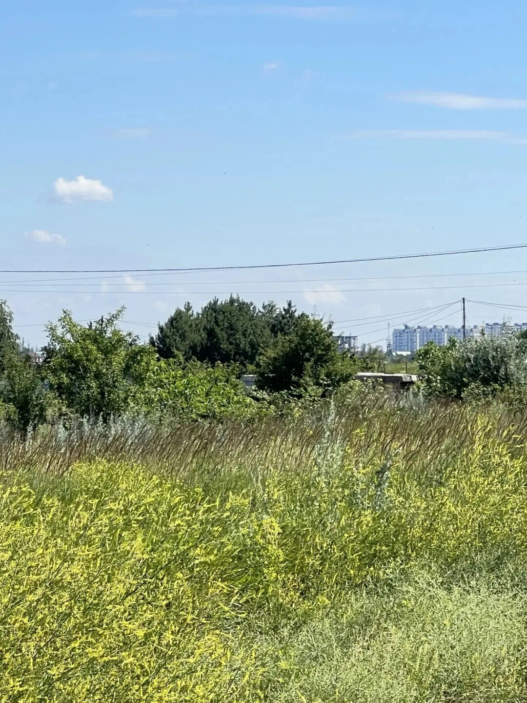 Участок, 1270 м², Респ. Донецкая Народная, р-н Першотравневый, с. Ильичевское, ул. Лебедя