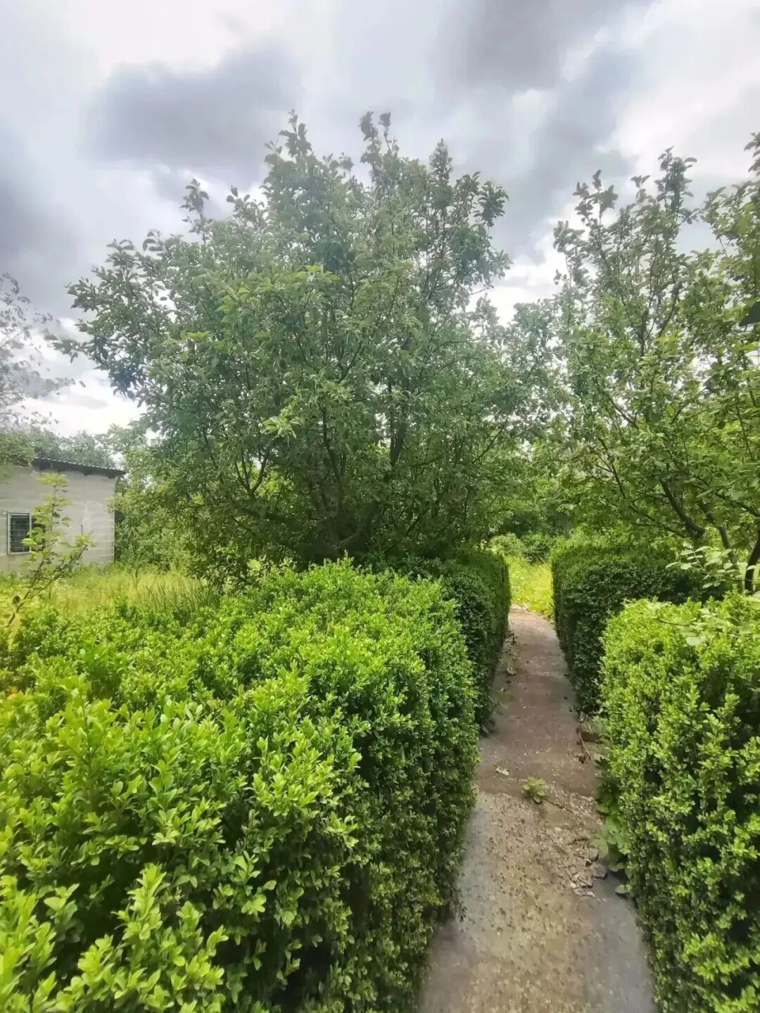 Участок, 587 м², Респ. Донецкая Народная, г. Мариуполь, п.г.т. Талаковка